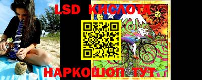 крисы Бийск