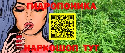 крисы Бийск