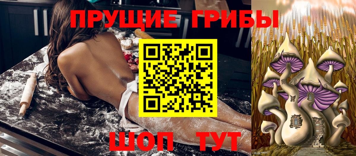 Михайловск  Галлюциногенные грибы мицелий  Галлюциногенные грибы ЛСД  Вход с VPN 